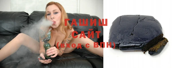 гашик Алексин