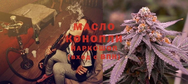 гашик Алексин
