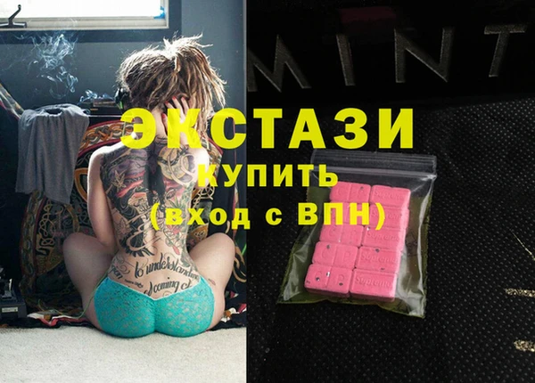 гашик Алексин