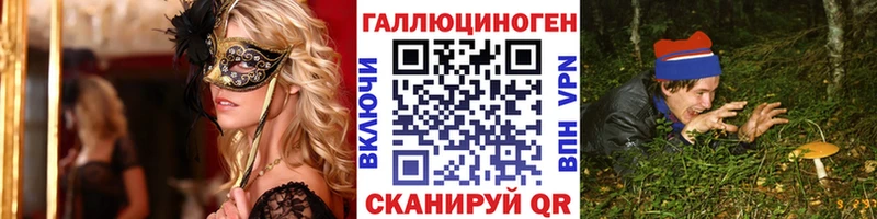 Галлюциногенные грибы Cubensis  Новозыбков 