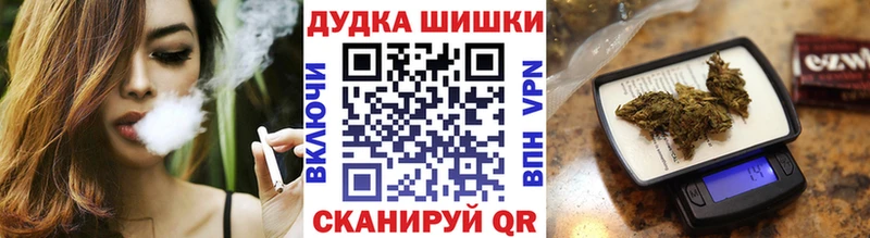 Бошки марихуана индика  закладки  Новозыбков 